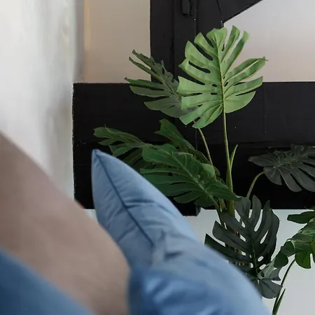 Large Duplex Penthouse Apartment *