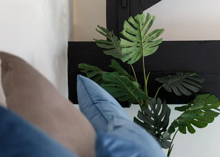 Large Duplex Penthouse 公寓 *