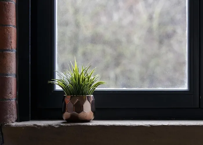 Apartment Large Duplex Penthouse *